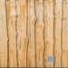 images/Abibois_StEtienneCoglès_WEB_004.jpg