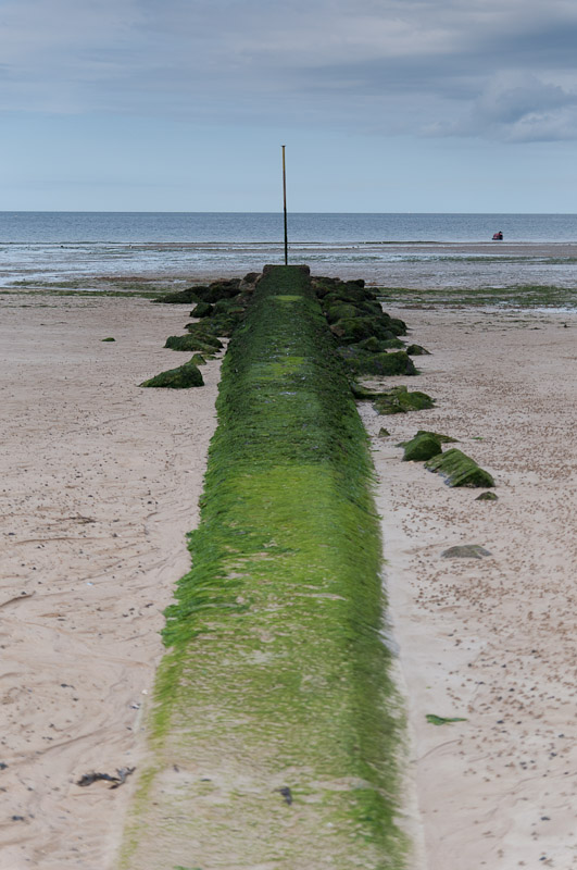 http://www.jeromebachet.fr/Nature/images/nature%20%2870%29.jpg
