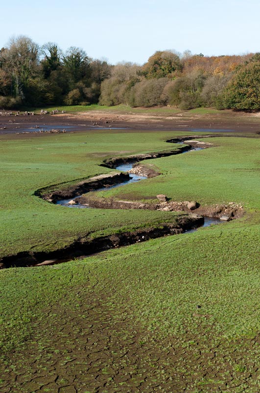 http://www.jeromebachet.fr/Nature/images/nature%20%2874%29.jpg