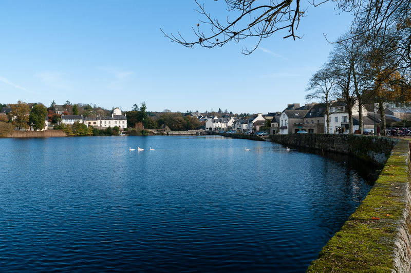 http://www.jeromebachet.fr/Nature/images/nature%20%2880%29.jpg